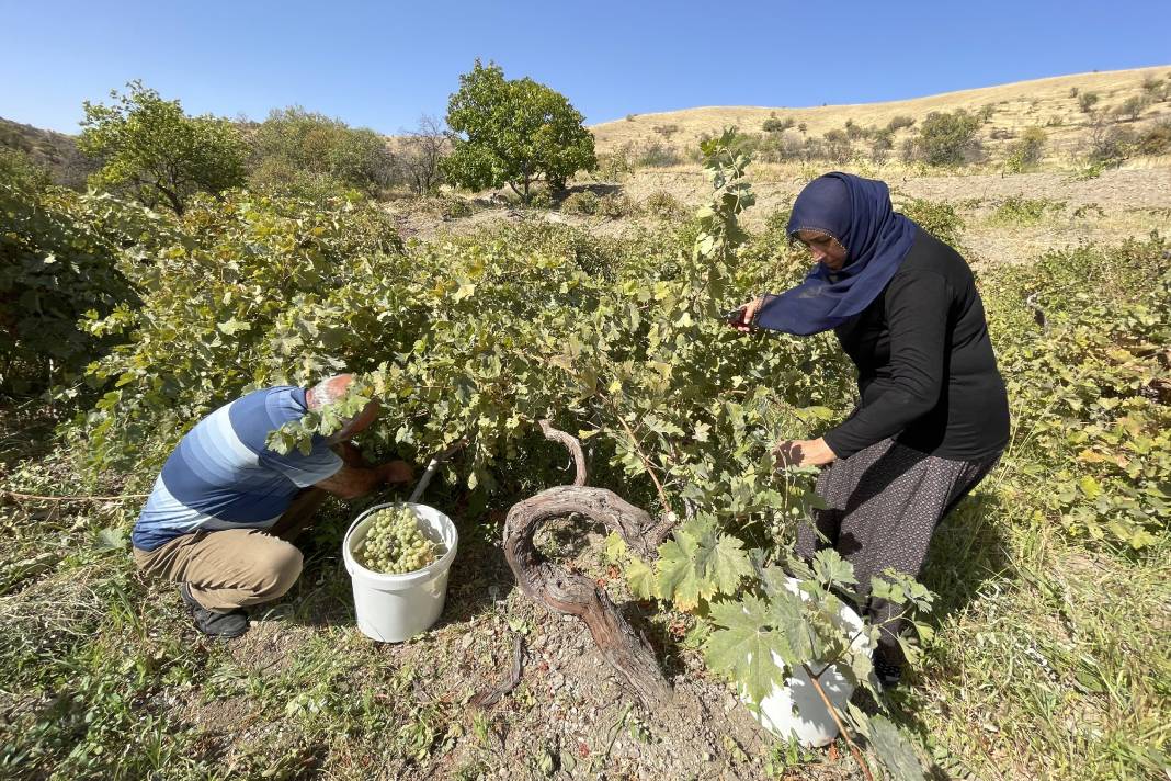 Kışın sevilen tatlısı 'orcik' için hazırlıklar başladı 3